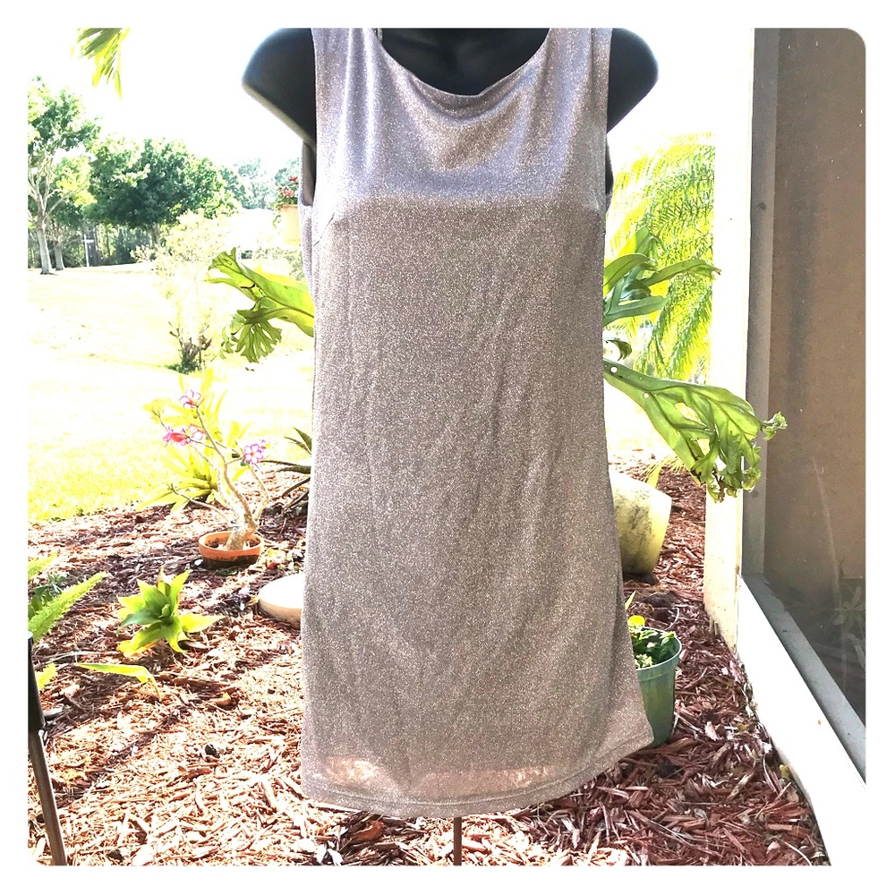 New year’s special Silver metallic dress!